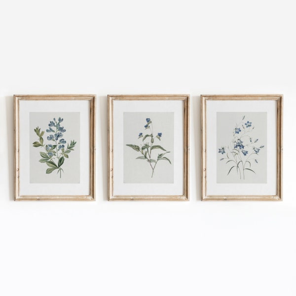 Blue Botanical Set of 3 | Vintage Flower Paintings | Floral Indigo Minimal Art | Digital Download | 457