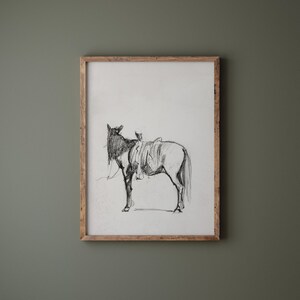 Saddled Horse | Vintage Farm Animal Sketch | Horseback Riding Drawing | Country Western Art | Digital Download | 465 image 4