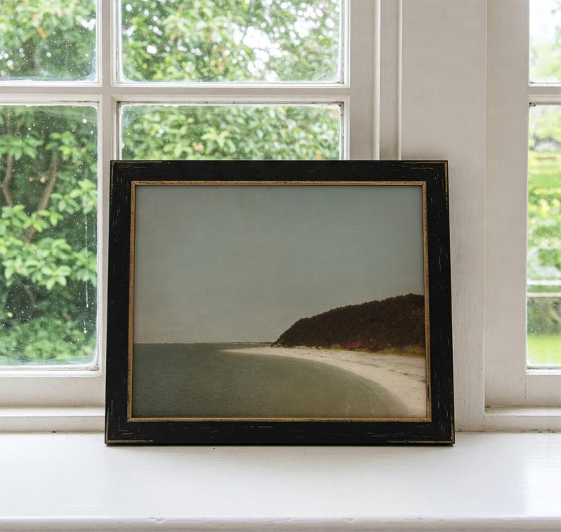 May include: A framed photograph of a seascape with a sandy beach and a wooded hillside in the distance. The photograph is in a black frame with a gold trim.