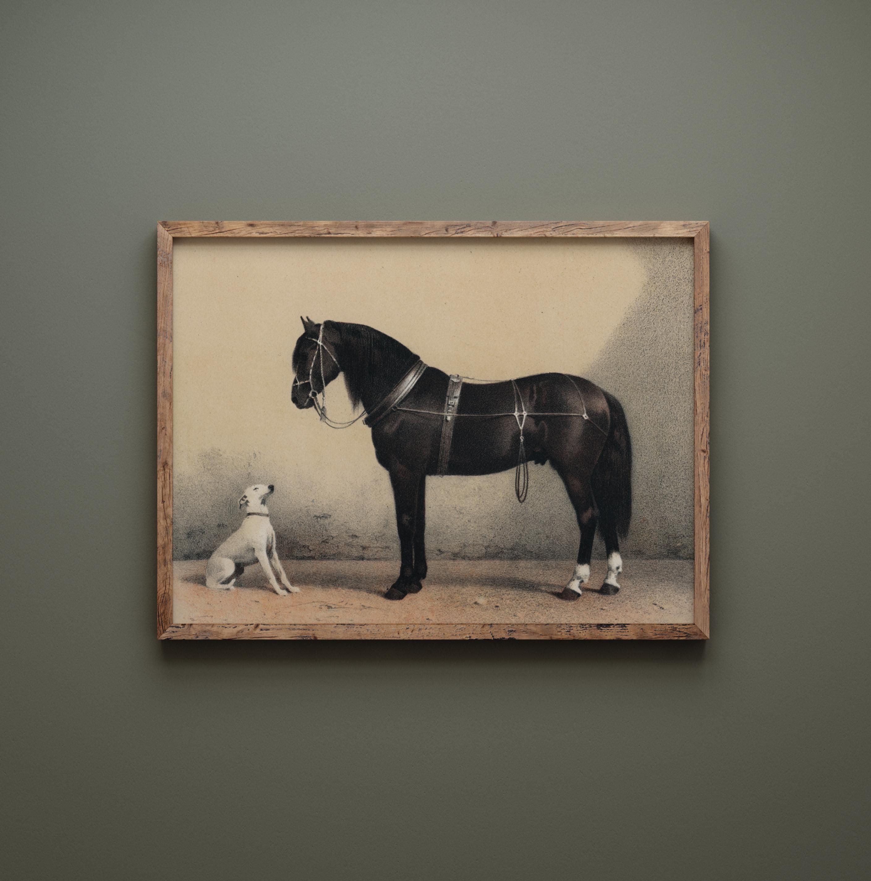 馬と犬のイラスト | ヴィンテージ動物の親友アートワーク