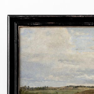 Pu&ograve; includere: Un dipinto incorniciato in nero che rappresenta un paesaggio con un cielo nuvoloso e un campo in primo piano.
