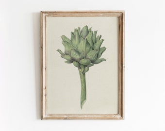 Green Artichoke | Vintage Vegetable Botanical Artwork | Green Kitchen Decor | Digital Download | 138