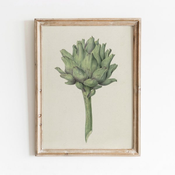 Green Artichoke | Vintage Vegetable Botanical Artwork | Green Kitchen Decor | Digital Download | 138