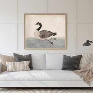 Canada Goose Vintage Bird Watercolor Painting Animal Art Digital ...