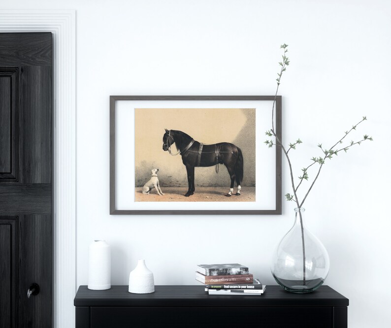 Horse Dog Illustration Vintage Animal Best Friend Artwork | Etsy