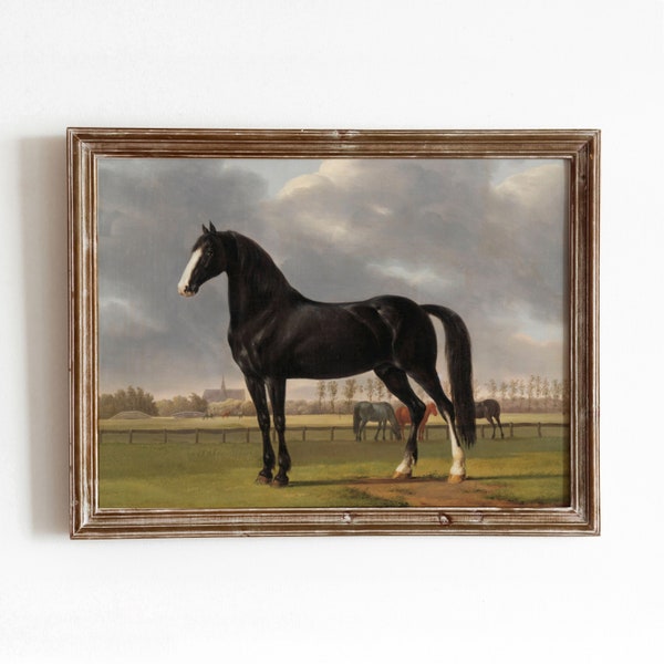 Black Horse | Vintage Race Horse Painting | Standing Stallion Animal Farm Meadow Art | Printable Art | 97