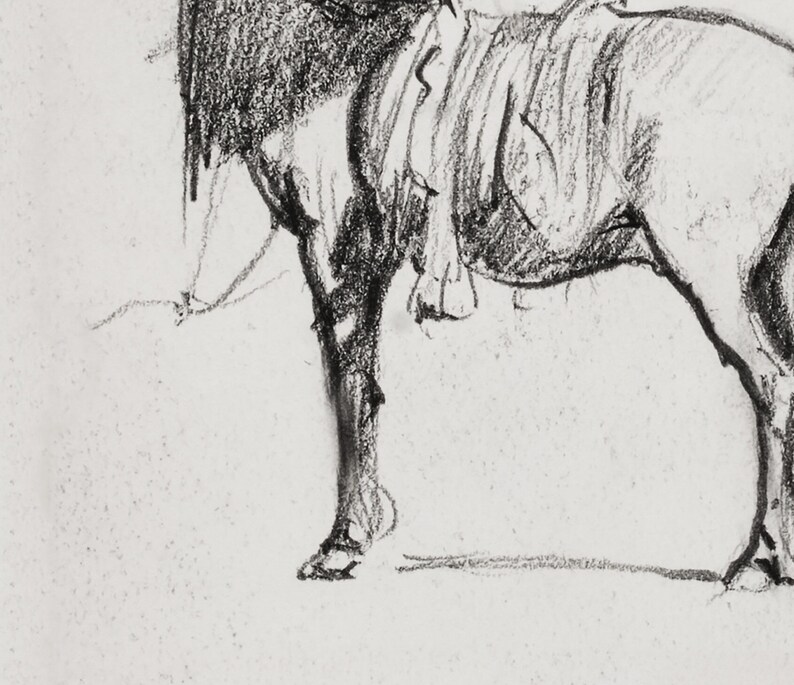 May include: A black and white pencil drawing of a horse's hind leg and saddle.