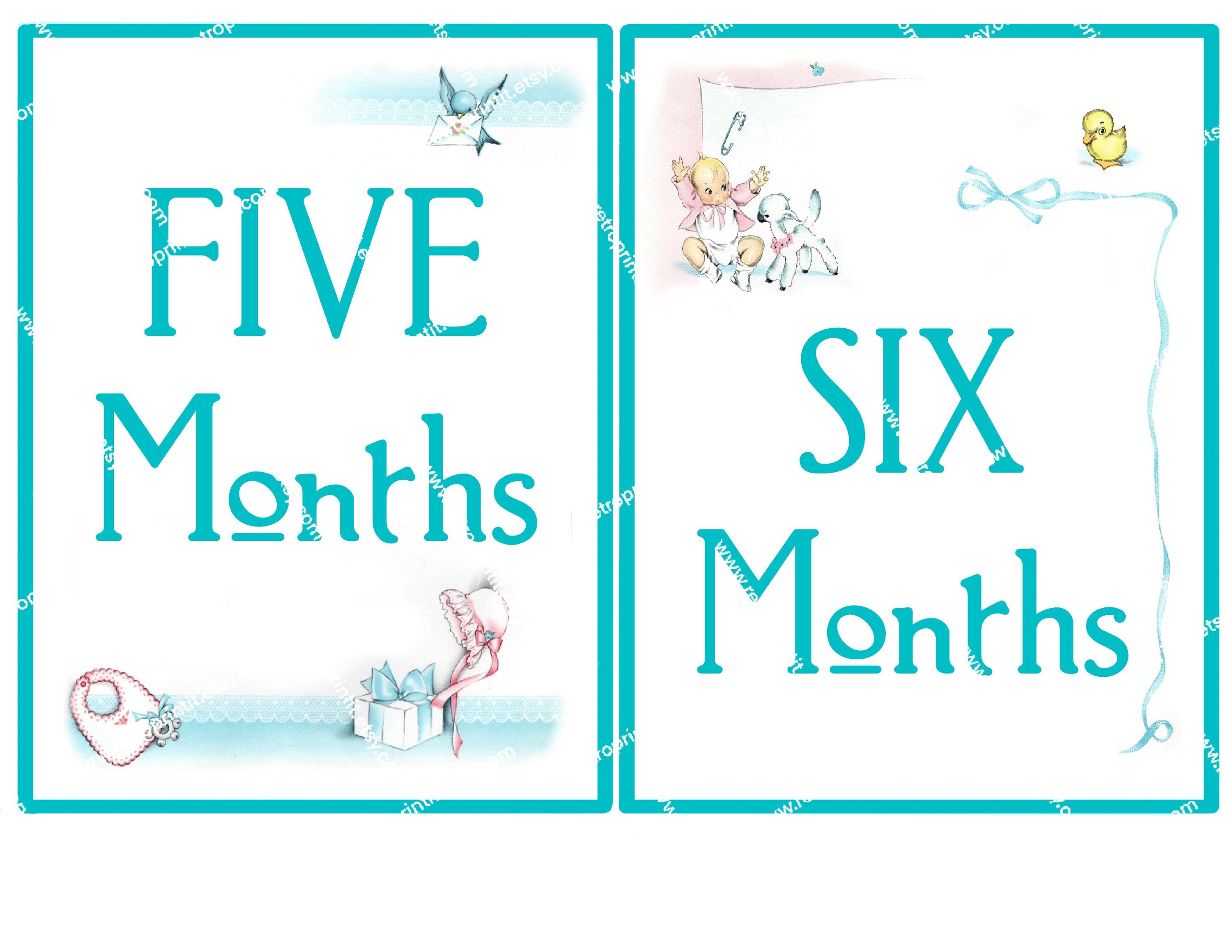 Printable Vintage Baby Milestone Cards for Photo With Baby, Digital ...
