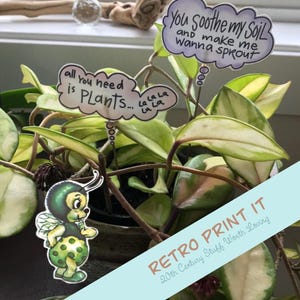 May include: A houseplant with green and cream-coloured leaves, with decorative plant stakes. One stake says "all you need is PLANTS..." and another says "You soothe my Soil and make me Wanna sprout". A cartoon insect is also visible.