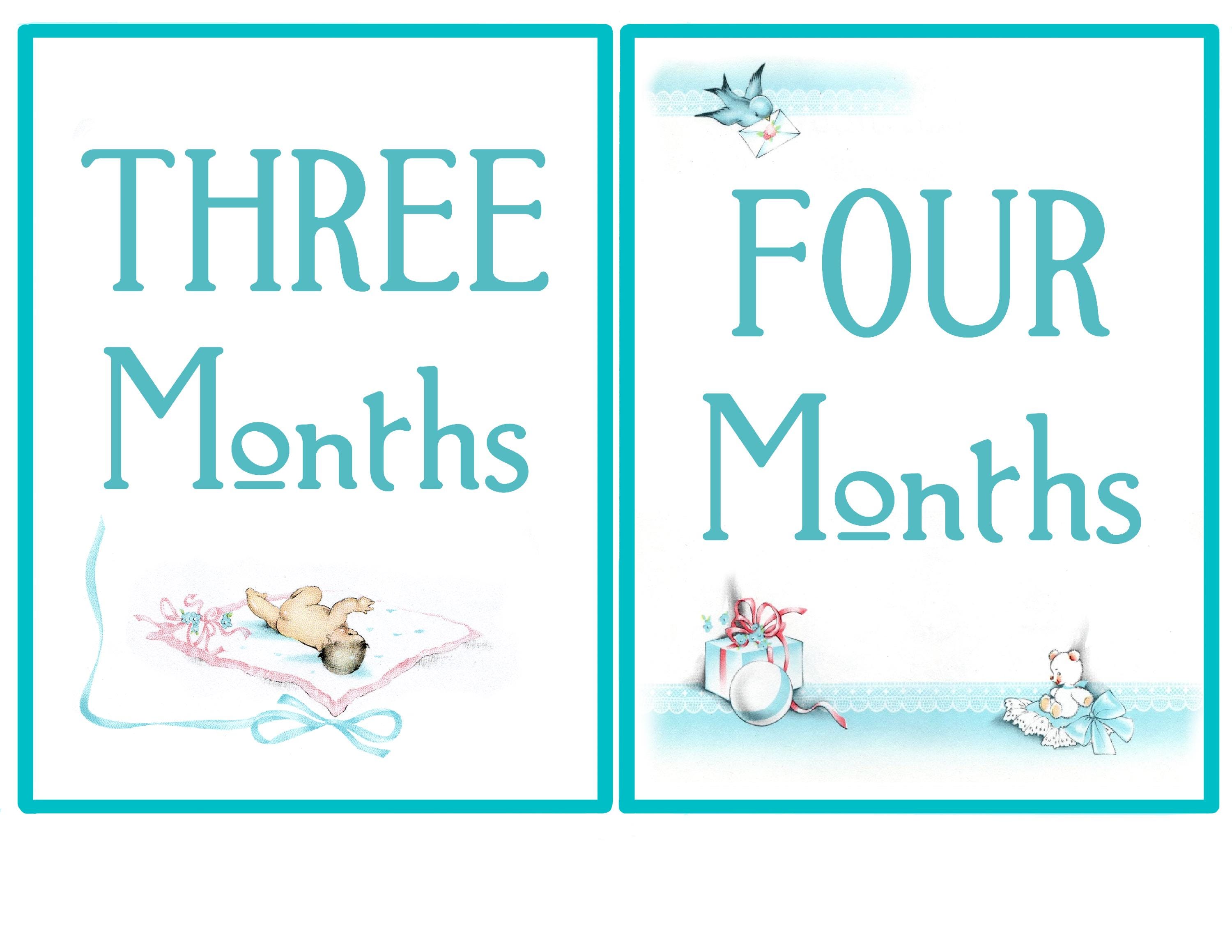 Printable Vintage Baby Milestone Cards for Photo With Baby, Digital ...