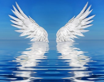 Angel Wings Reflected Digital Graphic