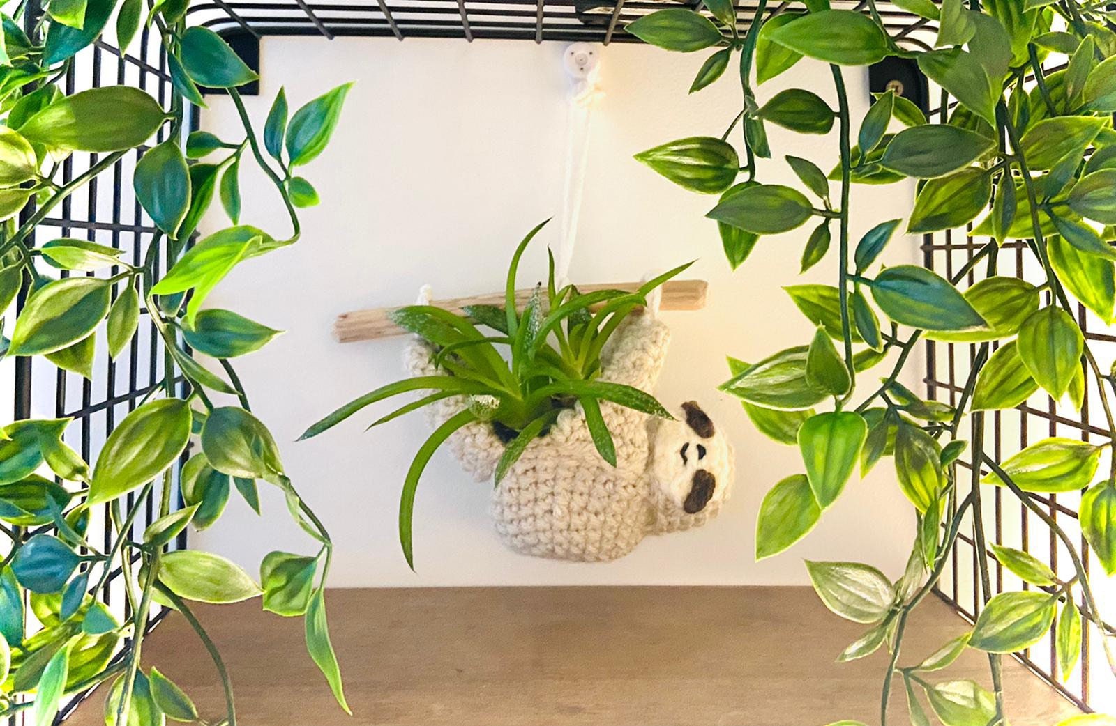 Planteur Suspendu de Paresse Sydney