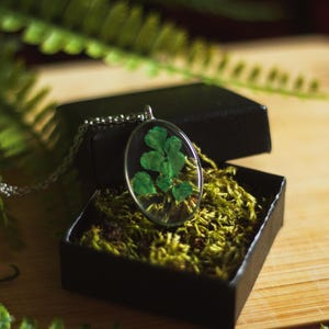 real Leaf fern pressed flower Necklace, cottagecore unique jewelry, Dried flowers in resin, Necklace botanical jewelry