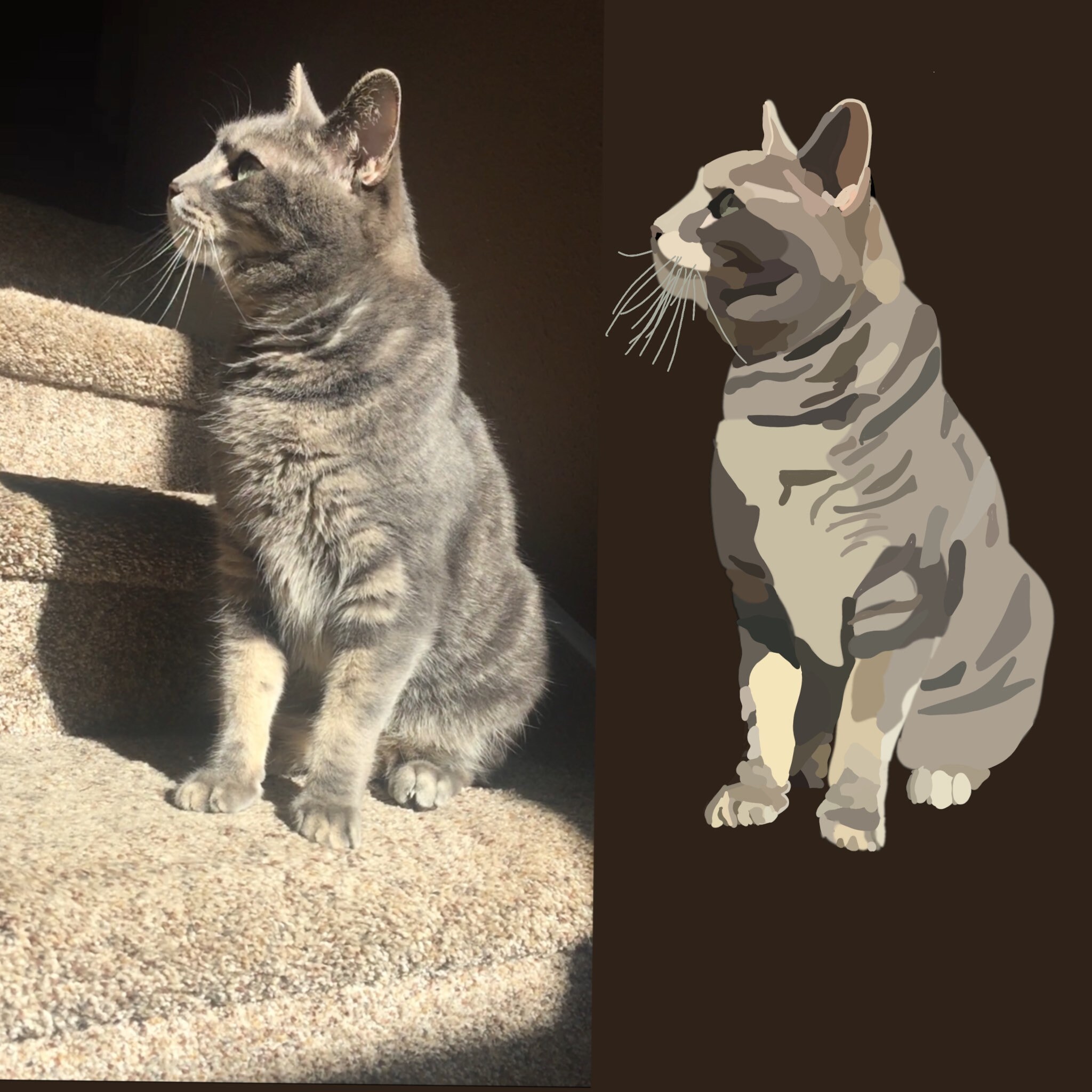 Pet DIGITAL Portraits Etsy