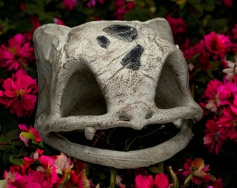 001 Skull