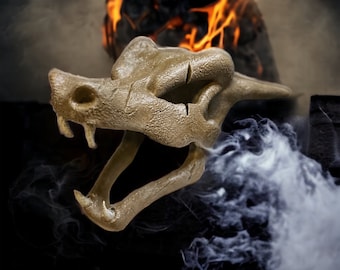 006 Skull