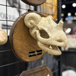 131 Skull Wall Plaque