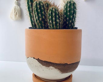 Concrete Plant pot | Desert pot | Concrete planter | House plants | Minimalistic | planter | Boho | Plant | Handmade | southwestern