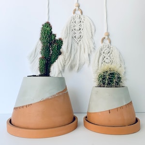 May include: Two terracotta pots with white painted accents, each holding a cactus plant. The pots have a saucer base. Two white macrame wall hangings with wooden rings are in the background.