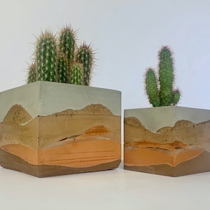 Puede incluir: Dos macetas cuadradas de hormigón con un diseño de paisaje desértico en capas. Las macetas están llenas de cactus.