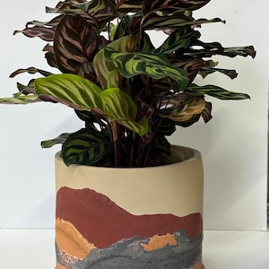 X Large desert Pot | Planter