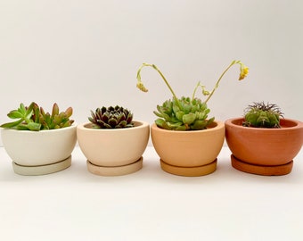 succulent pot | Concrete Plant pot | Desert pot | Concrete planter | House plants | Minimalistic | planter | Boho | Plant | Pot