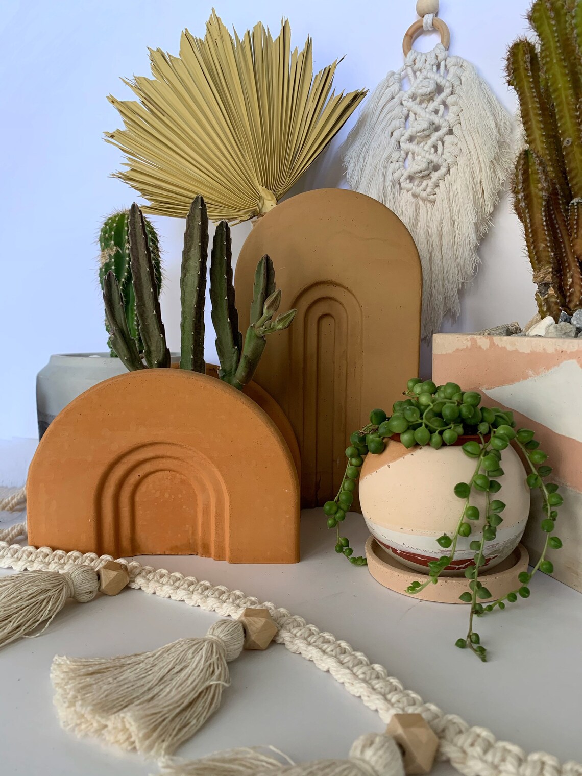 Beton Pflanzentopf Wüstentopf Beton Über pflanzer Kaktus | Etsy