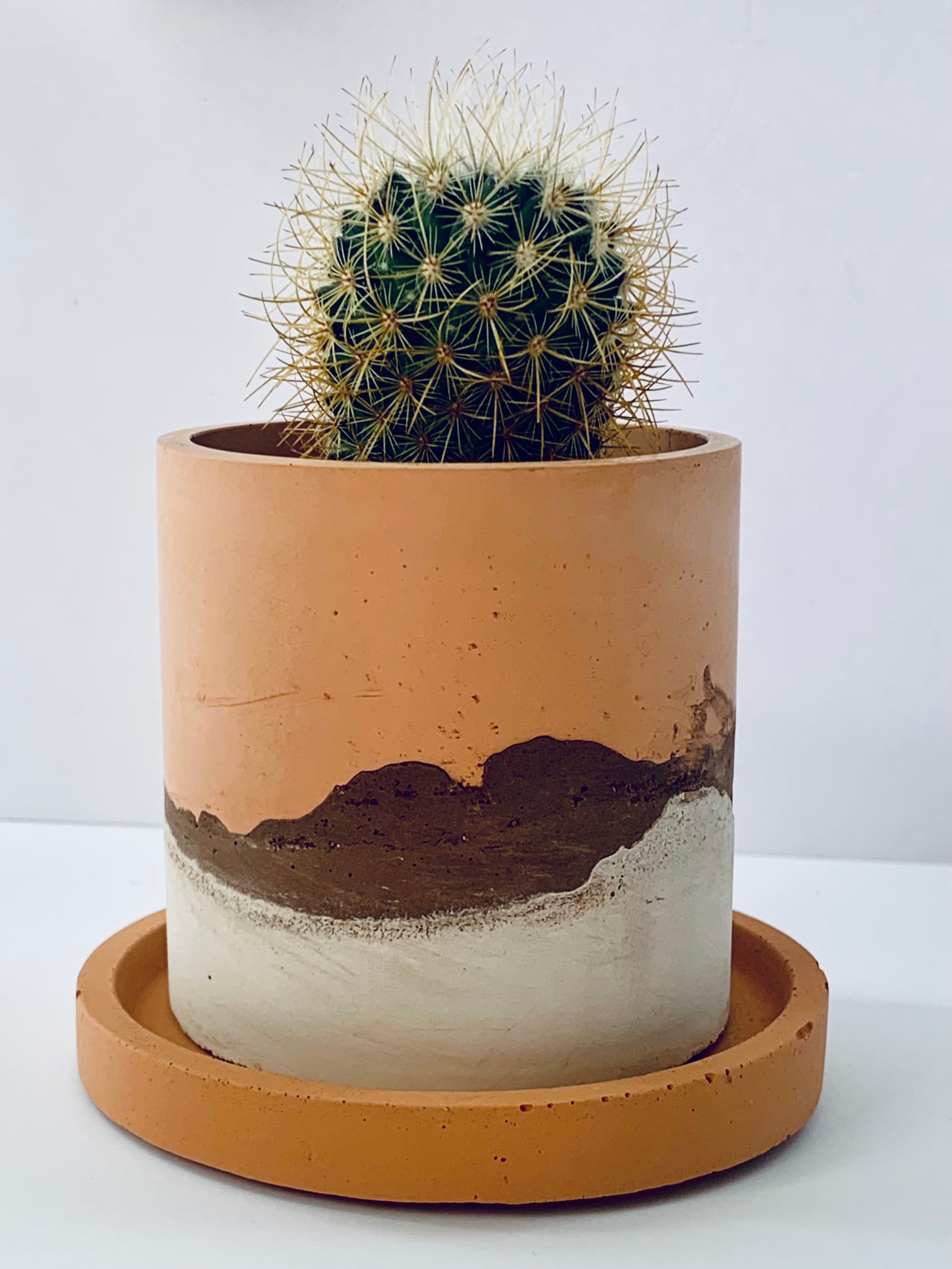 Concrete Plant Pot Desert Pot Concrete Planter House Etsy Canada