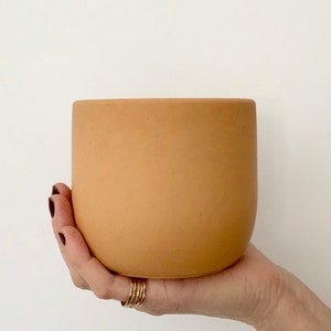 4 in tulip | Concrete Plant pot | Desert pot | Concrete planter | House plants | Minimalistic | planter | Boho | Plant | Pot