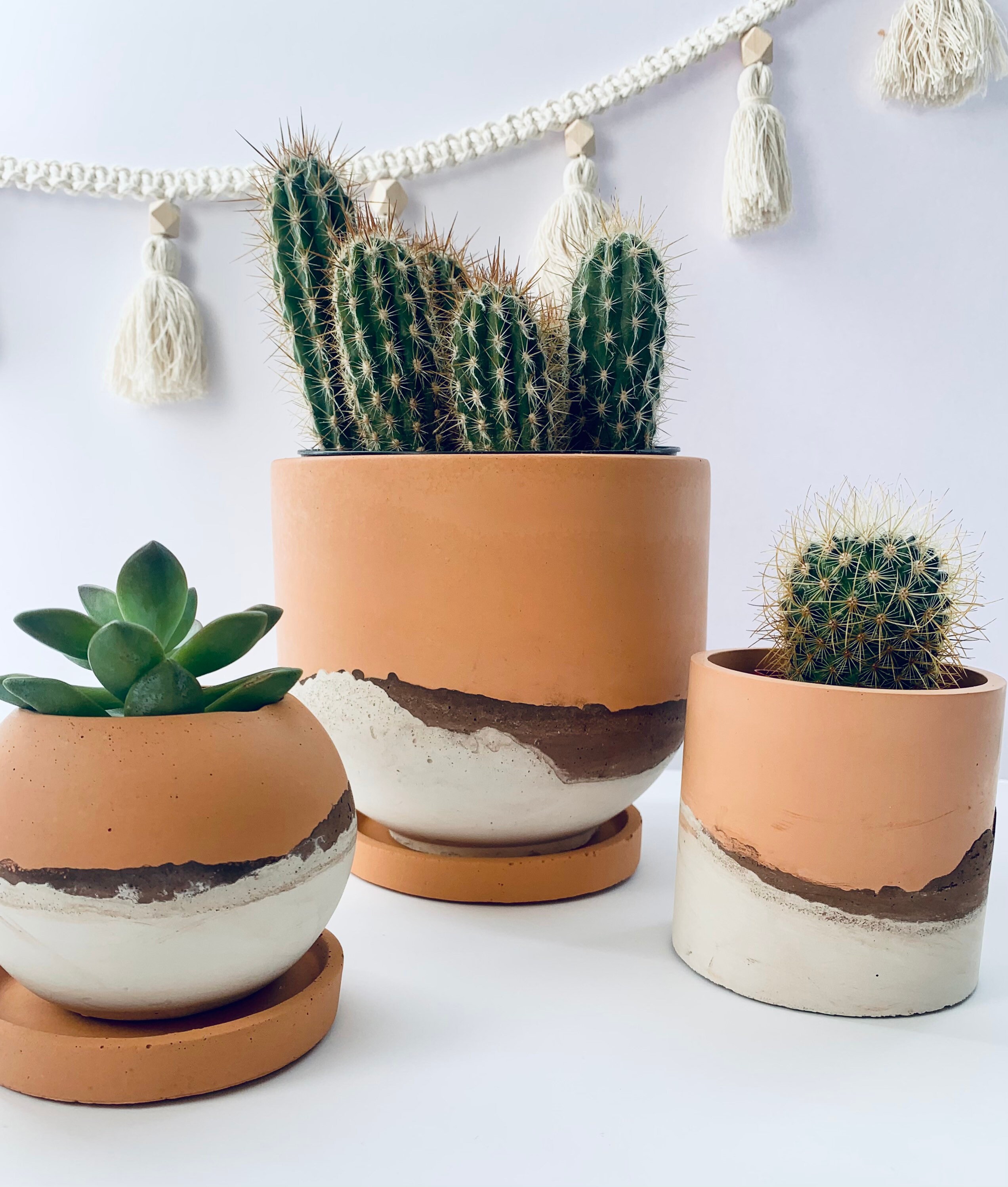 Concrete Plant Pot Desert Pot Concrete Planter House Etsy Canada