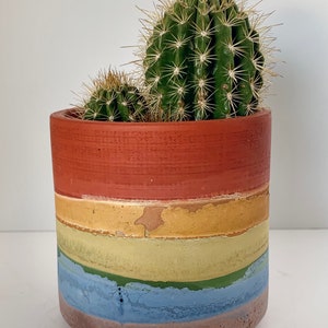 Prismapot regenboog betonnen plantenbak boho handgemaakt cactus vetplanten kamerplanten woondecoratie boho moderne cadeau verpakt afbeelding 6