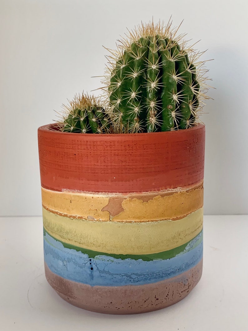 Prismapot regenboog betonnen plantenbak boho handgemaakt cactus vetplanten kamerplanten woondecoratie boho moderne cadeau verpakt afbeelding 6