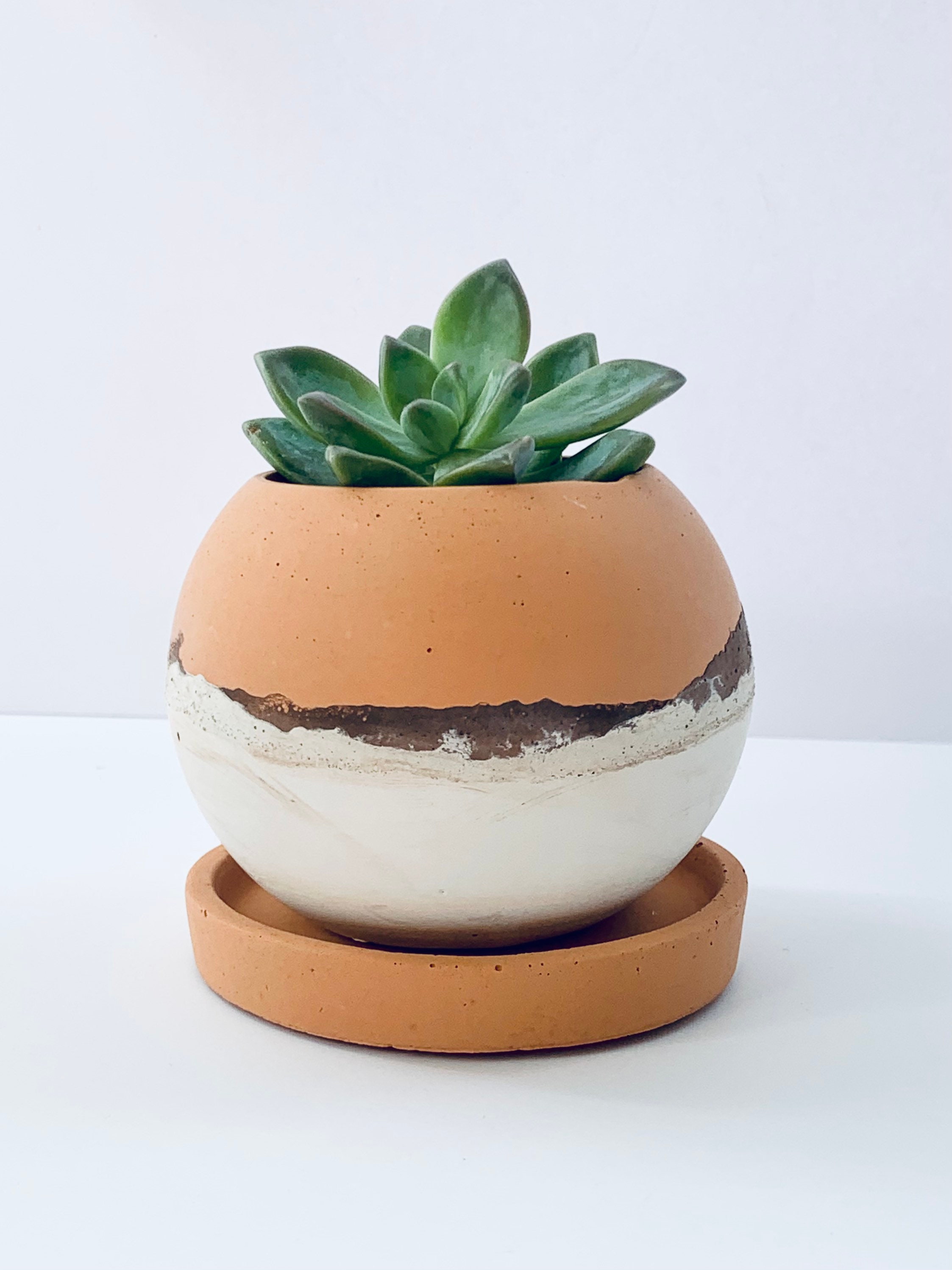 Concrete Plant pot Desert pot Concrete planter House Etsy