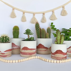 Vaso per piante in cemento / vaso del deserto / fioriera in cemento / piante domestiche / minimalista / fioriera / Boho / pianta / vaso / fatto a mano / sudoccidentale