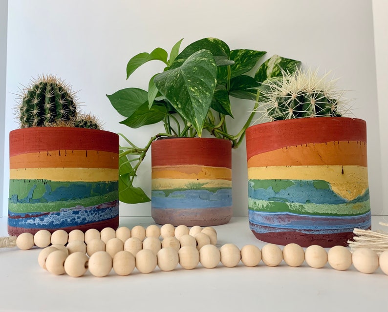 Prismapot regenboog betonnen plantenbak boho handgemaakt cactus vetplanten kamerplanten woondecoratie boho moderne cadeau verpakt afbeelding 1