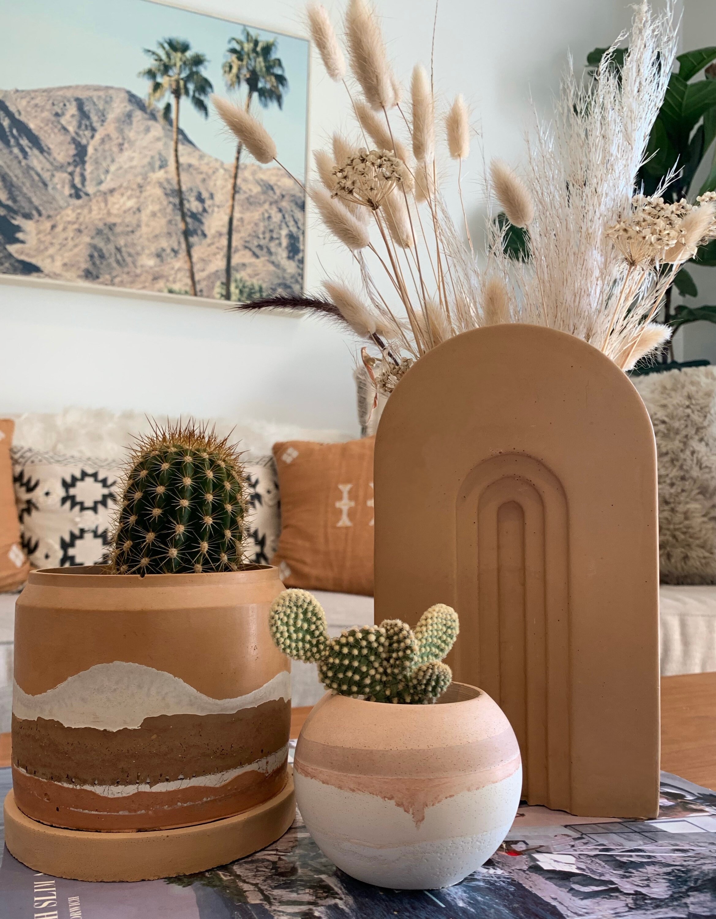 Beton Pflanzentopf Wüstentopf Beton Über pflanzer Kaktus | Etsy