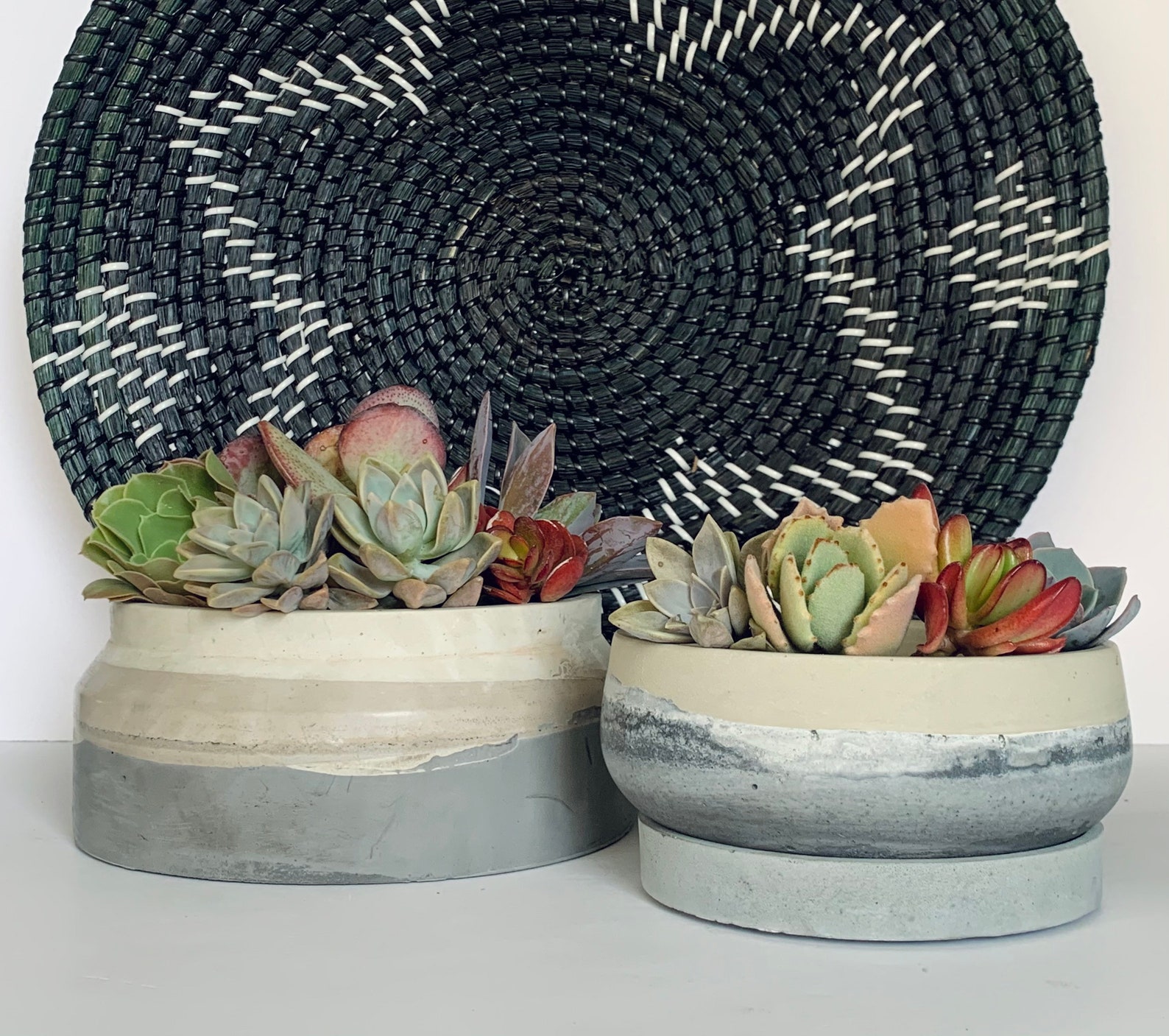 Concrete Plant Pot Desert Pot Concrete Planter House Etsy