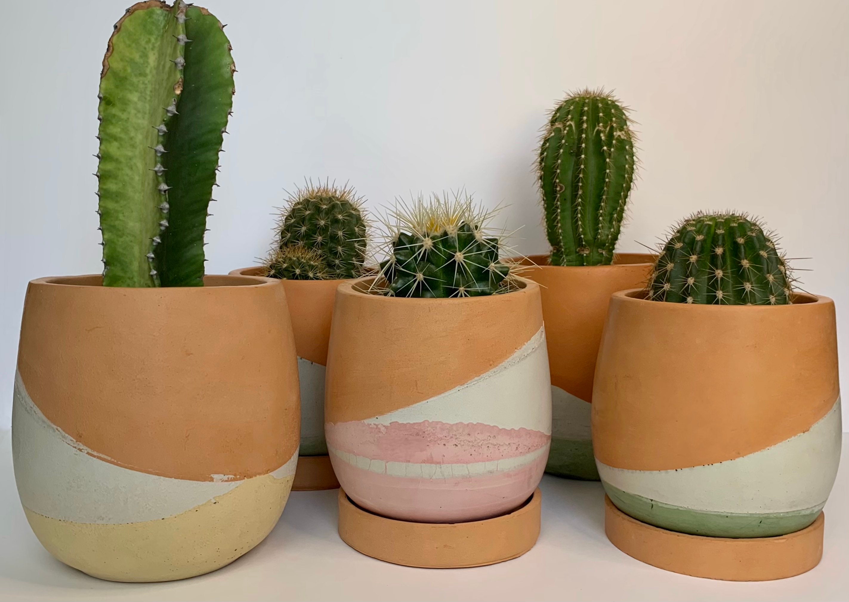 Palms Concrete Plant pot Desert pot Concrete planter Etsy