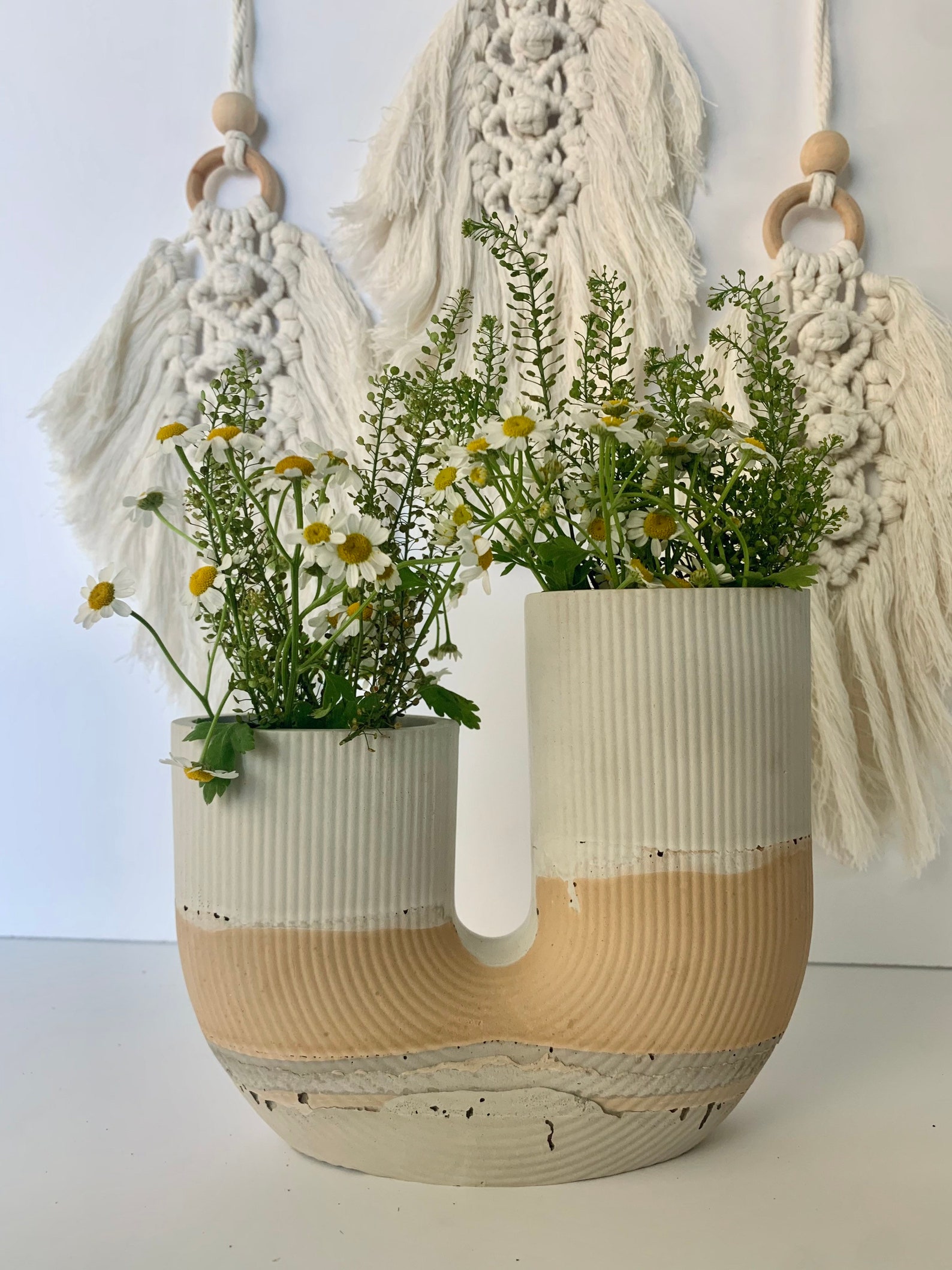 Desert Vase Boho Modern Home Decor Gift Concrete - Etsy