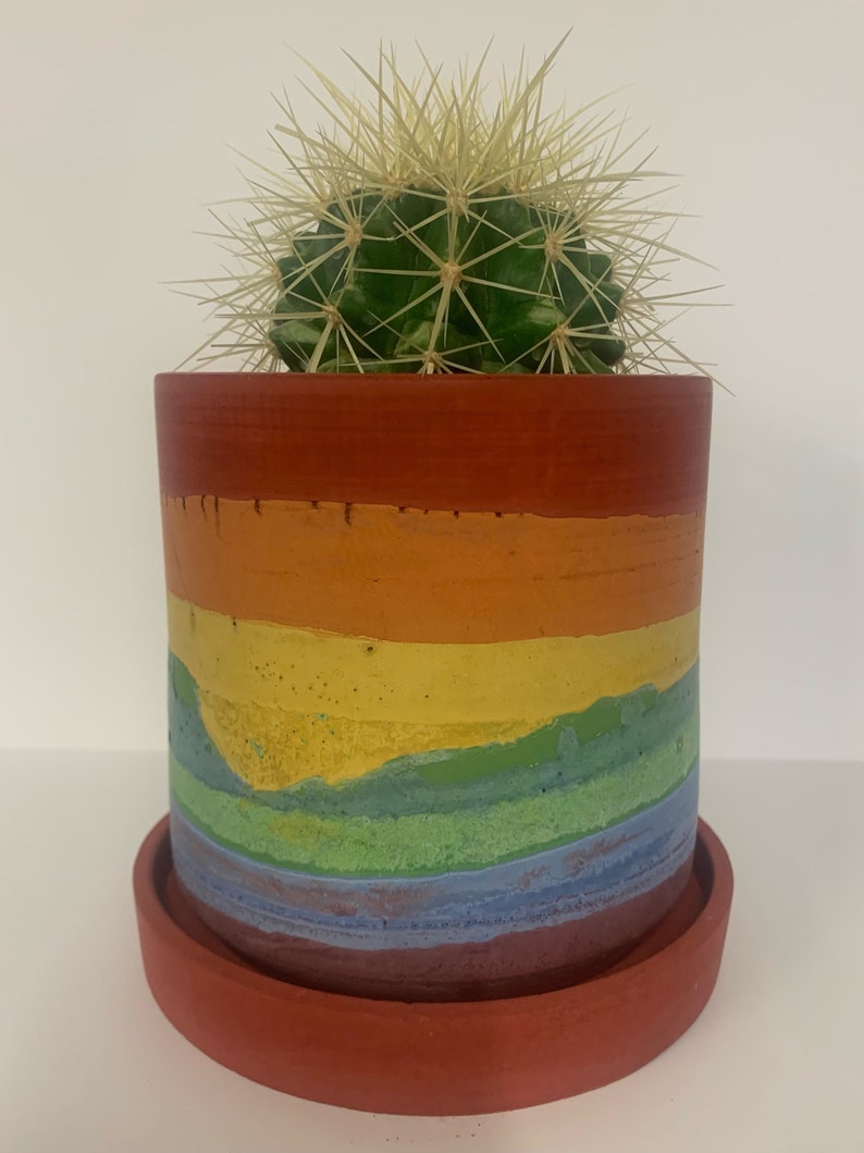 Prismapot regenboog betonnen plantenbak boho handgemaakt cactus vetplanten kamerplanten woondecoratie boho moderne cadeau verpakt afbeelding 3