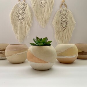 Beton Pflanzentopf Wüstentopf Beton Über pflanzer Kaktus | Etsy