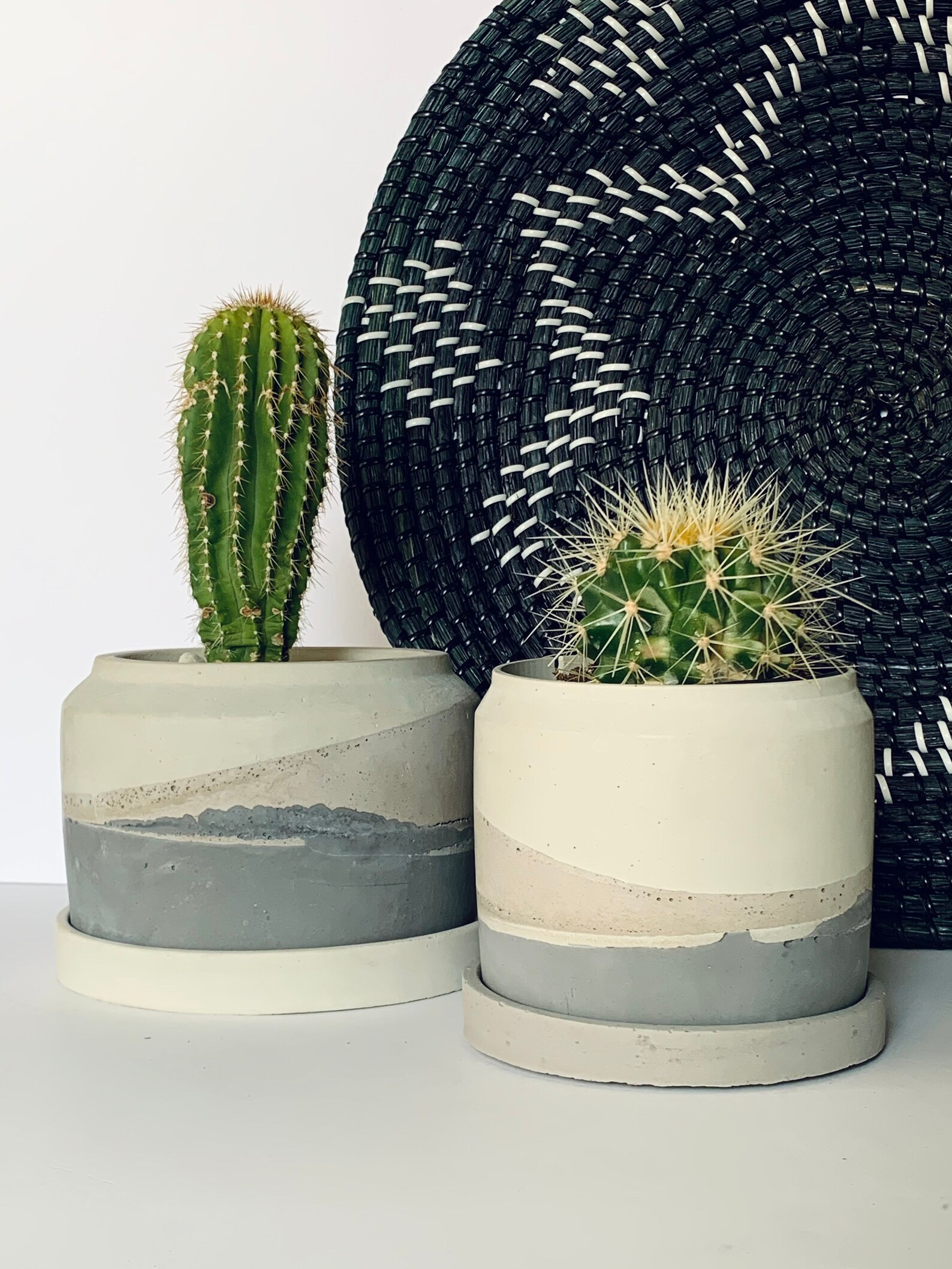 Concrete Plant Pot Desert Pot Concrete Planter House Etsy