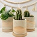 see more listings in the Pots | Planters section