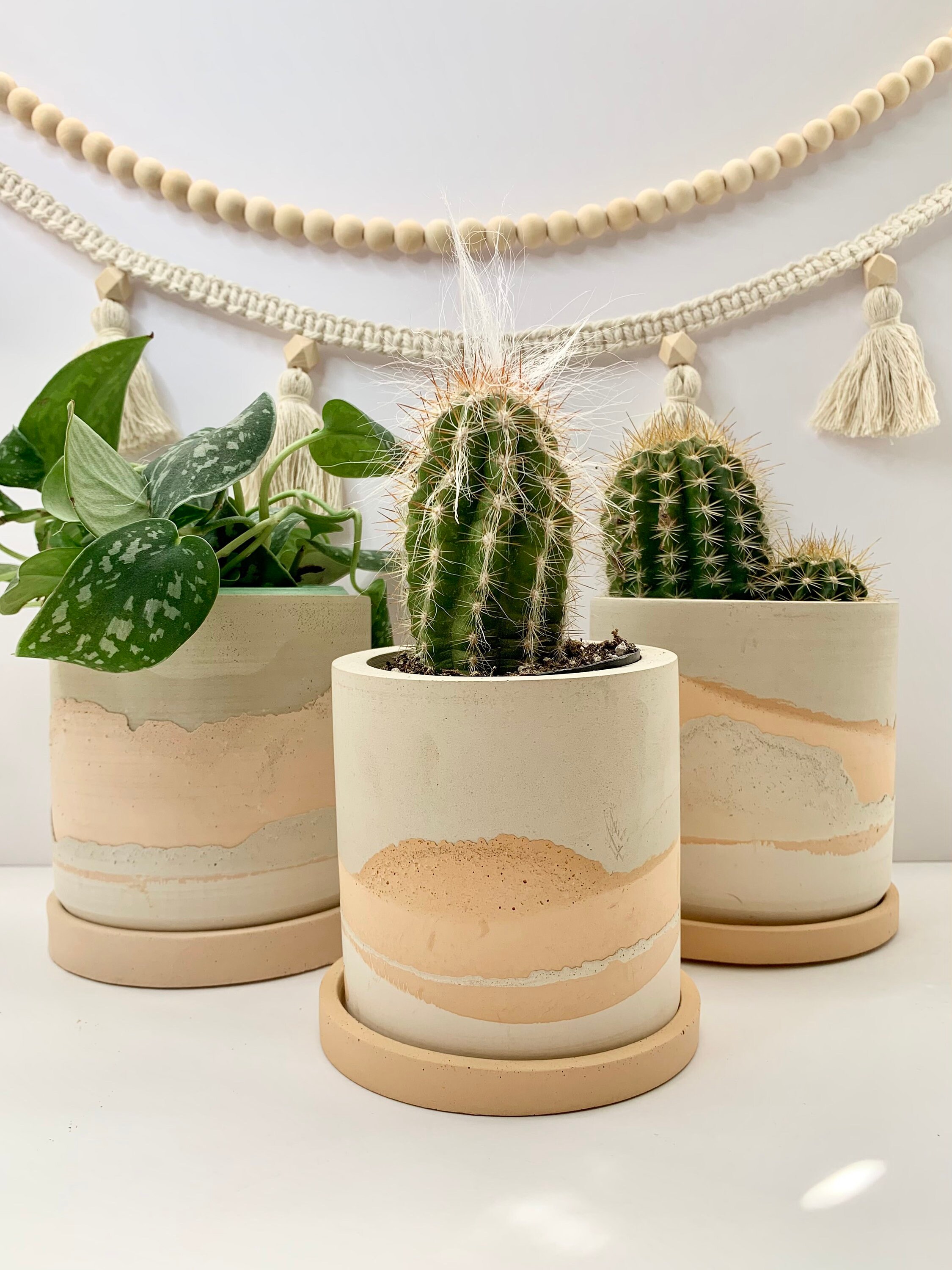 Handgemaakte pot | Betonnen plantenpot | Woestijnpot | plantenbak | Kamerplanten | Minimalistisch | plantenbak | Boho | Plant | Cactus | Zuidwestelijk