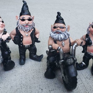 The Biker Gnome Gang