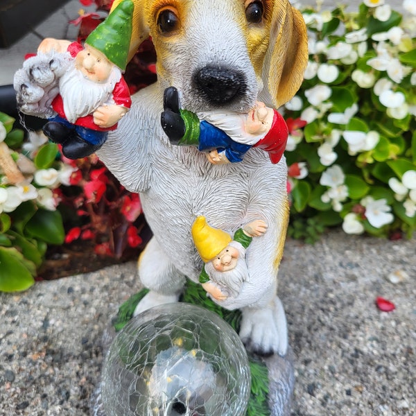 Gnomes captured by dog