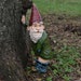 Garden Gnomes 