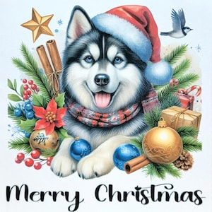 Cadeau, Carte de Noël Husky, vierge à l'intérieur, Husky, ornement, Bonnet de Noel, Oiseau, Étoile, Noir, blanc, Vert, Or, rouge, Bleu