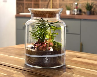 Closed DIY Terrarium Kit with Container, Plants and Decorations 25cm 'Mallorca'| DIY Corked Jar Terrarium Kit | Handblown | Miniature Garden