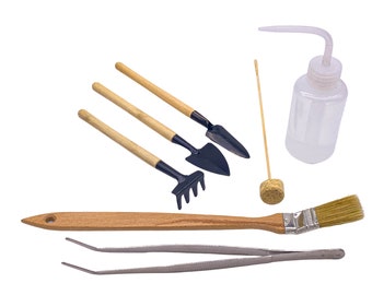 Water Terrarium Etsy